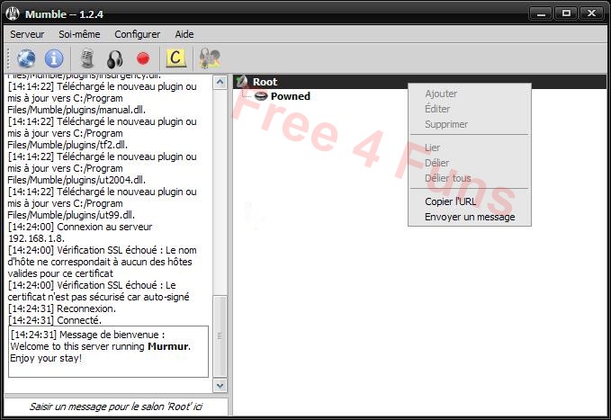 F4f mumble connect noprivilege.jpg